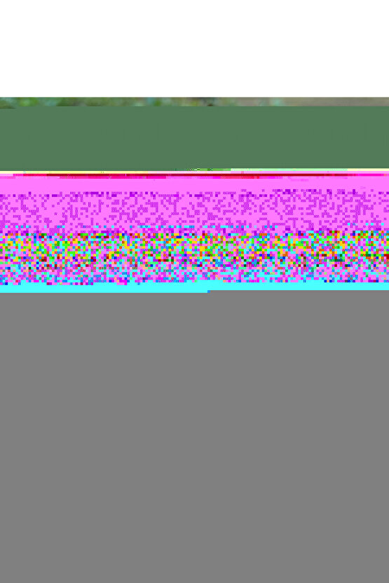 E88  4K HD ÇİFT KAMERALI DRONE APP KONTROL WİFİ Lİ KATLANABİLİR  X3 BATARYA