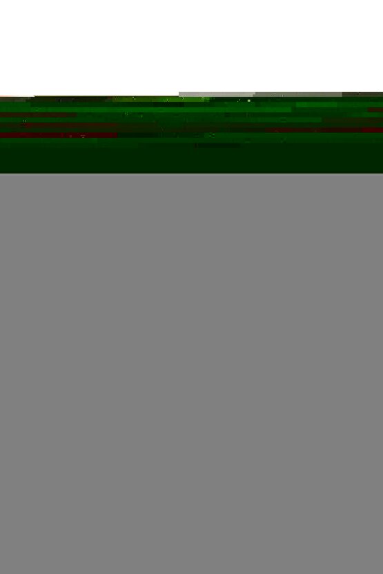 2 In 1 Lightning Splitter Şarj Ve Kulaklık Birarada Rz-018