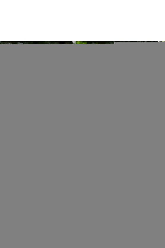 Radus Kız Çocuk Outdoor Günlük Bot (26-35) 24k 946.423 Fk Bej