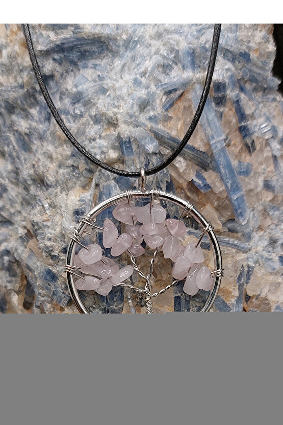 Soli II Ortopedik Kız Bebek Pudra İlk Adım Bot