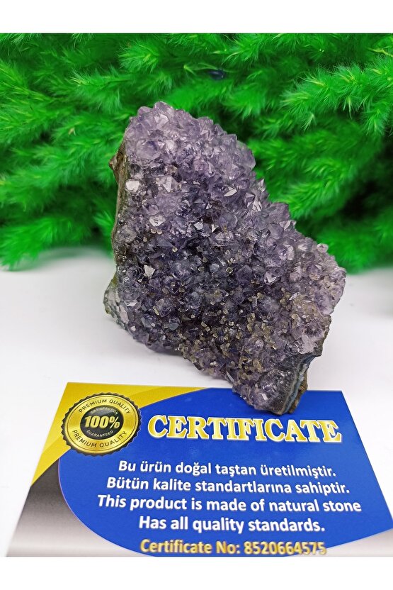 Ametis Kaya (jeot Urguay)(sertifikalı)