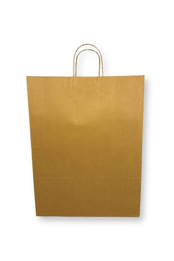 31x12x41 Burgu Saplı Karton Çanta Büyük Boy