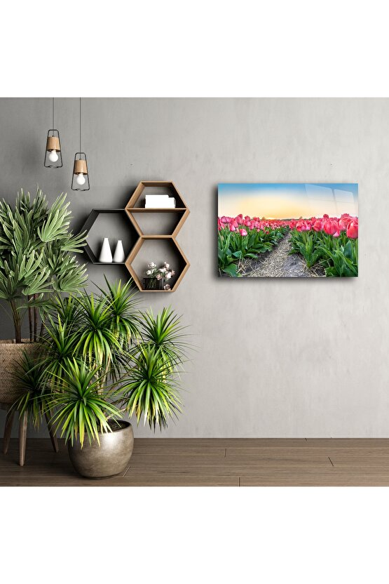 Gün Batımı Lale Tarlası Kanvas Tablo