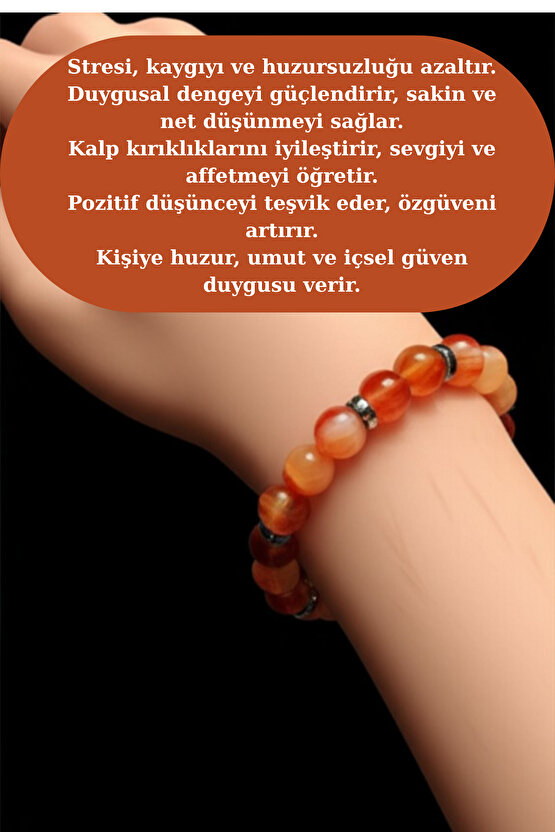 Gün Batımı Lale Tarlası Kanvas Tablo