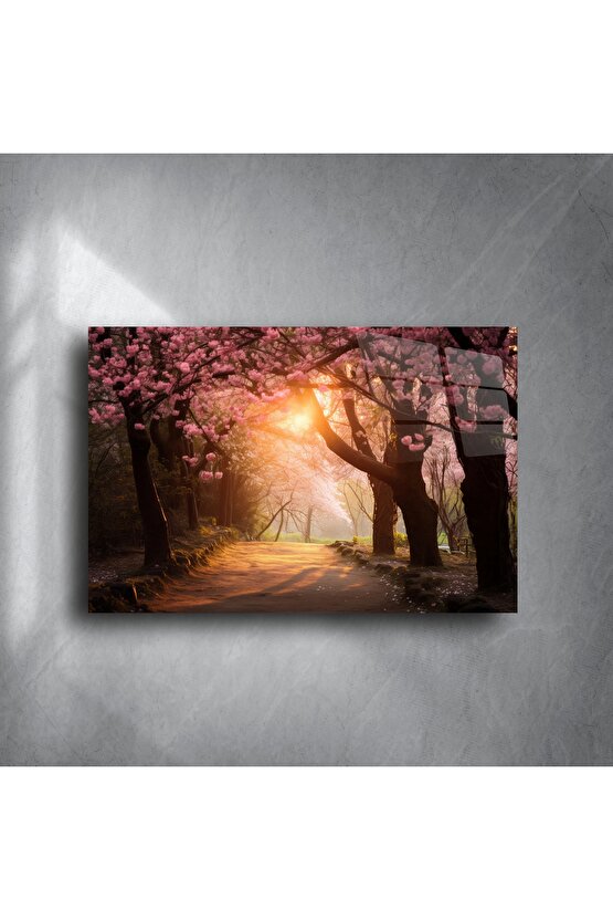 Romantik Kiraz Çiçeği Yolu Duvar Tablosu