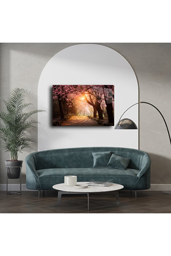 Romantik Kiraz Çiçeği Yolu Duvar Tablosu