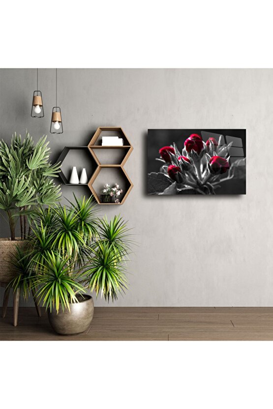 Siyah Beyaz Zemin Üzerine Kırmızı Gonca Çiçek Cam Tablo