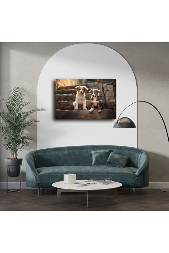 Doğal Işıklı Merdivende İki Yavru Köpek Metal Tablo