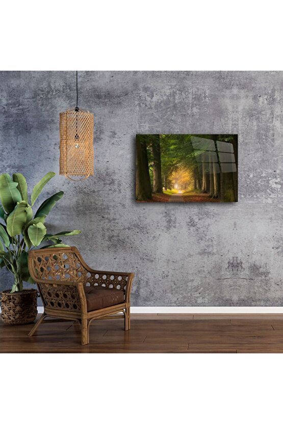 Sisli Orman Yolu Kanvas Tablo
