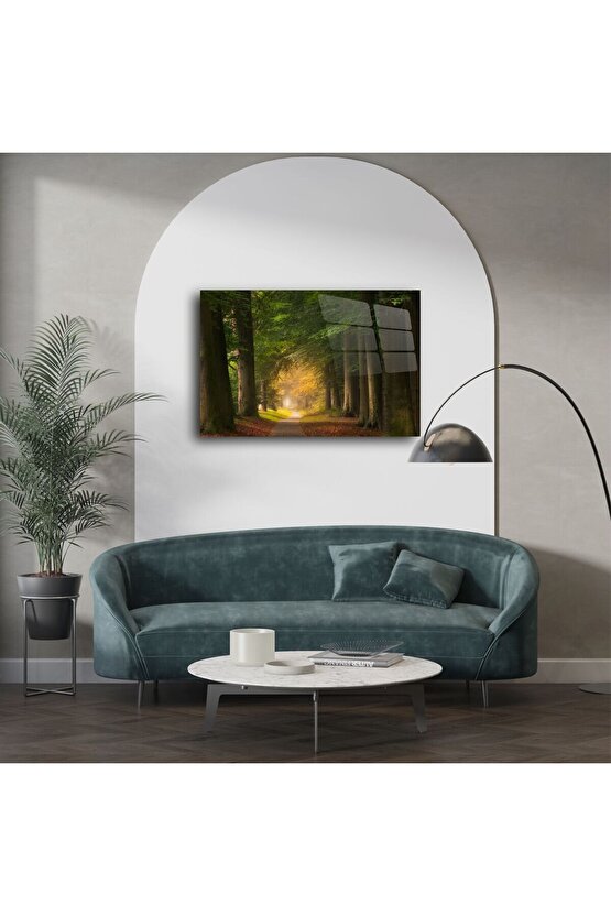 Sisli Orman Yolu Kanvas Tablo