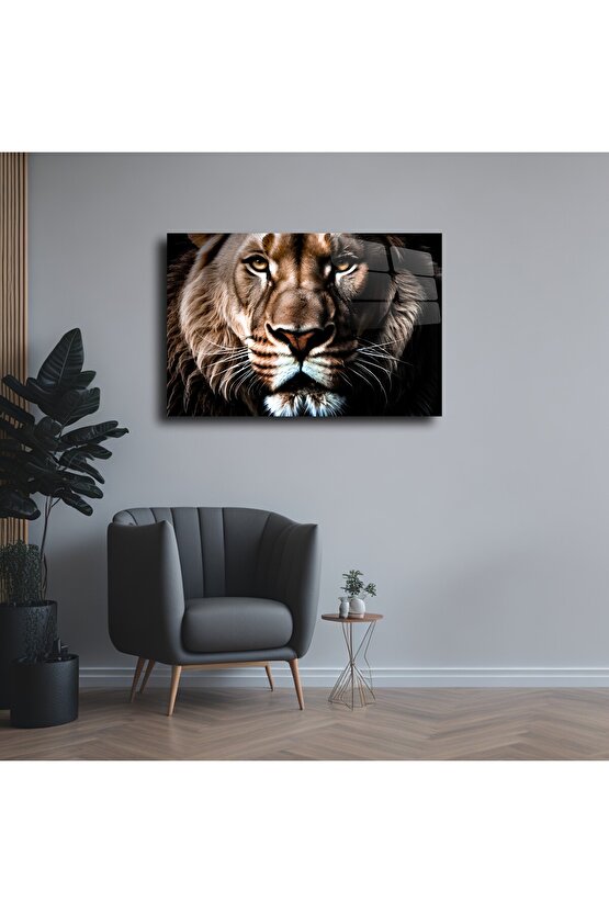 Aslan Yüzü Cam Tablo Duvar Dekoru
