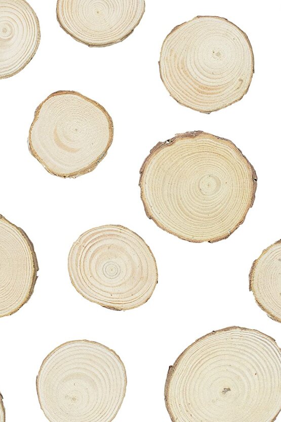 Etkinlik Süsleri (5-8cm, 20 Adet) Doğal Renk Ağaç Kabuğu Ahşap Dilimleri Sanat Ve El Sanatları Için