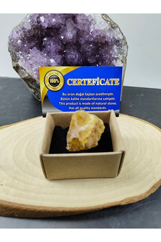 Fosilli Kehribar Doğal Taş Dekoratif Obje (sertifikalı)