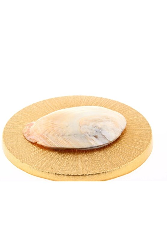 Doğal Sedef  Istiridye Tütsülük Kabuğu