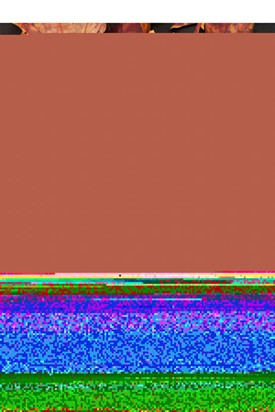 0503-Kahve Kumaş Bordür Sisal Halı Kilim Hav Toz Vermez Kolay Temizlenen Hasır Kilim