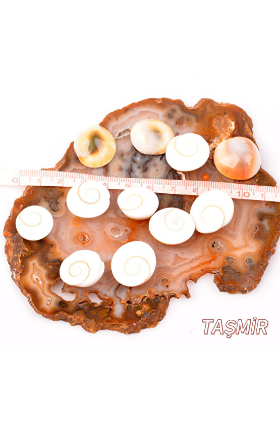 Yılancık Taşı 10 adet