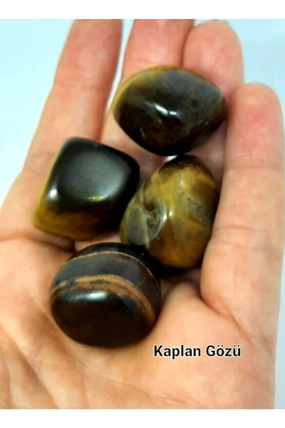 Orjinal Kaplangözü Tamburlanmış Tımbıl Kayaç Kaplan Gözü