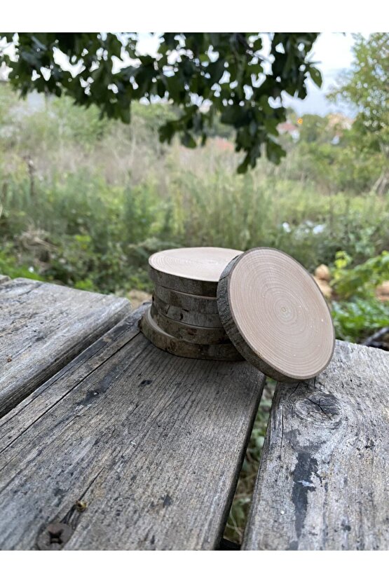 Doğal Ahşap Odun Dilimi Çatlamaya,kabuk Atmaya Dayanıklı Bardak Altlığı,6 Adet