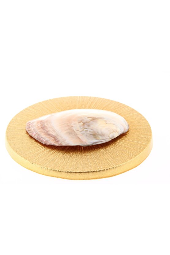 Sertifikalı Doğal Sedef  Istiridye Tütsülük Kabuğu