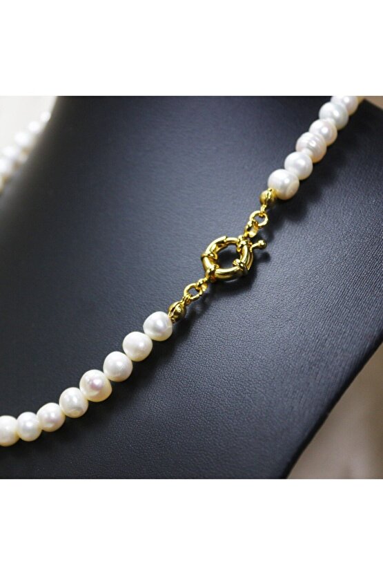 Petek Petek Şifam Var