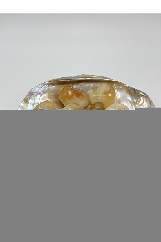 Temel Sahih Hadisler 3 Cilt Takım