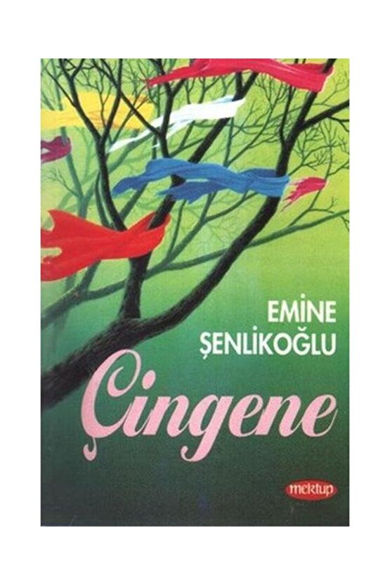 Çingene  Mektup Yayınları  Emine Şenlikoğlu