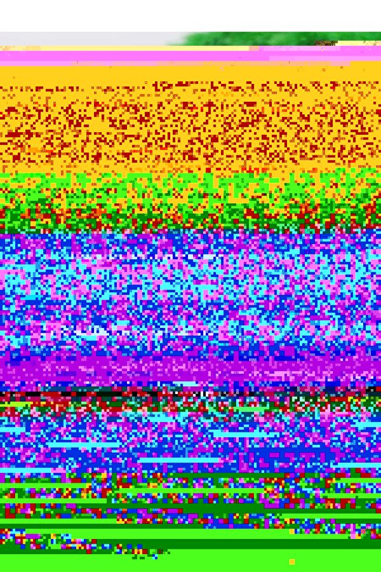 Hak Dini Kuran Dili - Elmalı Tefsiri; (10 Cilt, Büyük Boy, Şamua)