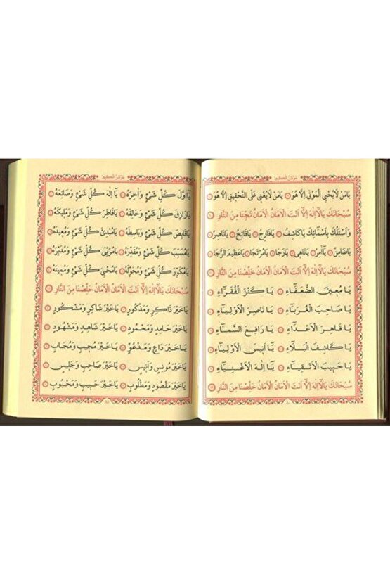 Büyük Cevşen Arapça Kolay Okunuşlu (CELCELUTİYE İLAVELİ) Çanta Boy-ciltli-k-2001