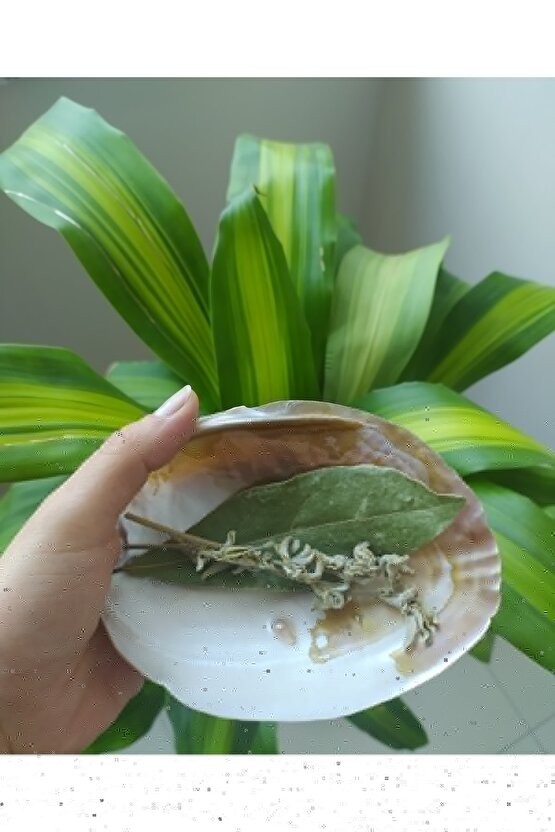 Hayatüs Sahabe 4.cilt Takım 22*14,50 Cm