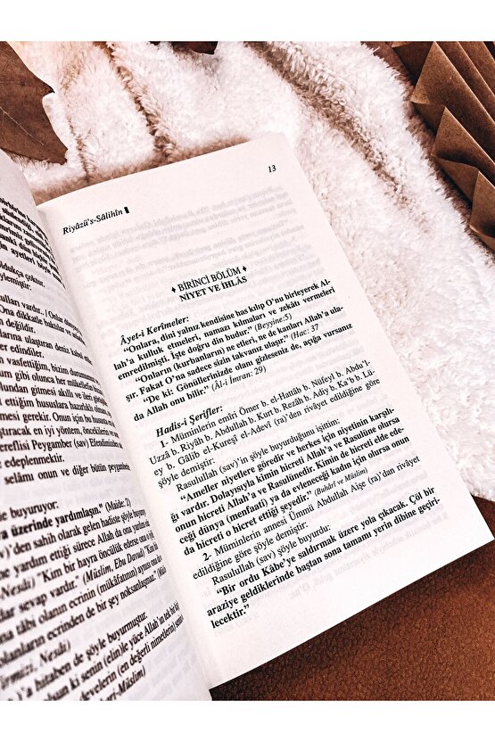 Riyazus Salihin Tercümesi (KARTON KAPAK-METİNSİZ)
