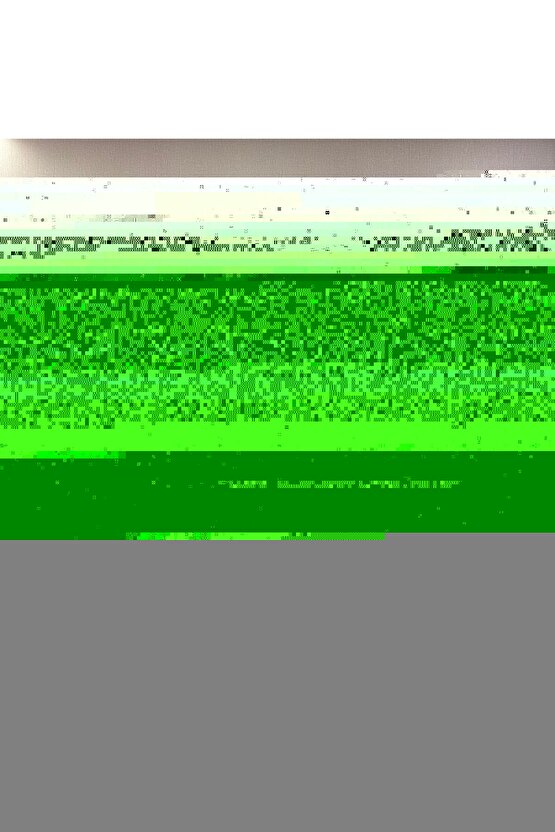 Zebra Perde Siyah Renk Pliseli Dilimsiz