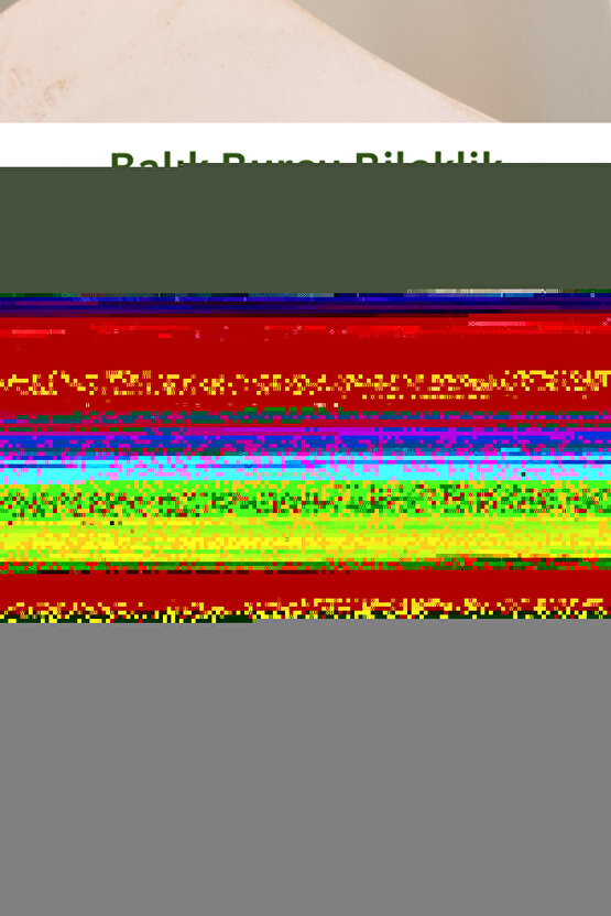 Stor Perde Gri Renk Dilimsiz