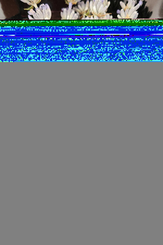 Zebra Perde Gri Pliseli Dilimsiz