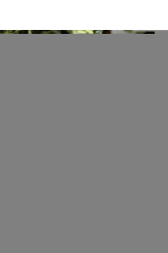 Gri Bambu Zebra Stor Perde