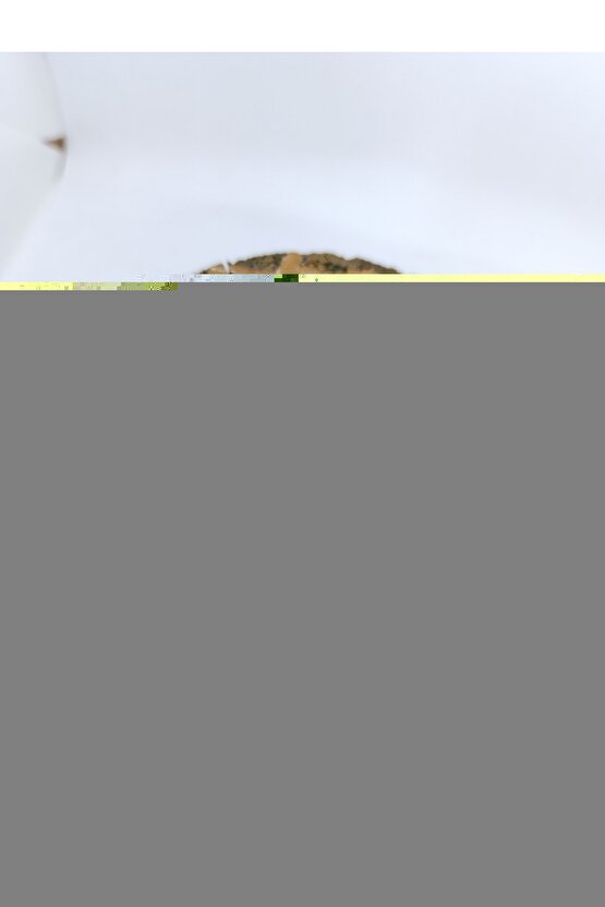 Gri Bambu Zebra Stor Perde