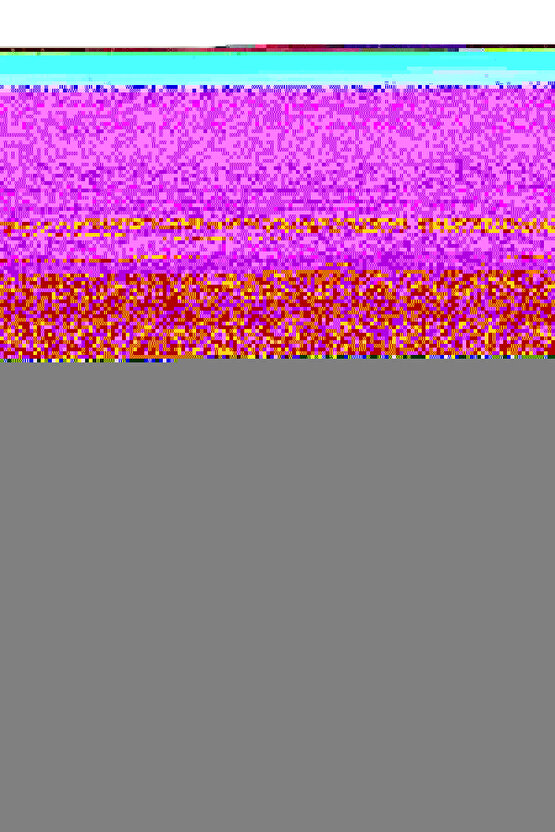 Zebra Stor Perde Krem Gold Simli Lüx Etek Dilimli