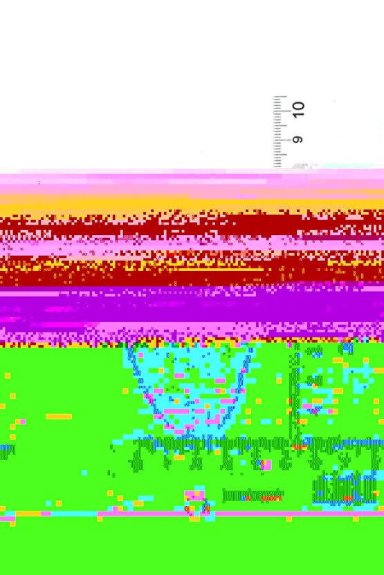Sertifikalı Yeşim Gua Sha Masaj Taşı