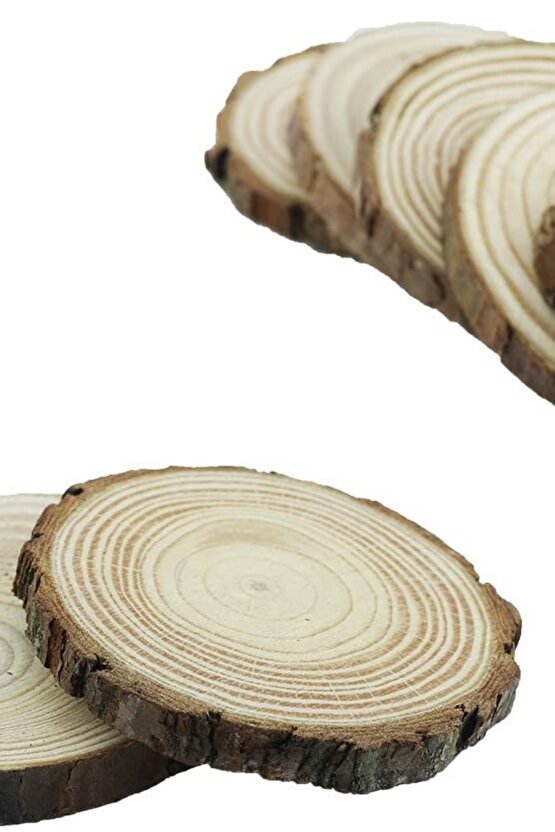 10 Adet 6 - 8cm Bitmemiş Doğal 1cm Ahşap Dilimleri Ağaç Kabuğu Ile Daireler