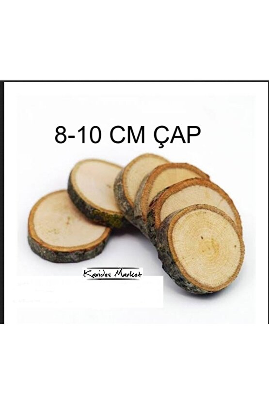 5 Adet 5 -7 Cm Çap Moss Bitki Uygulamaları Için Doğal Dekoratif Ağaç Kütük Dilimi