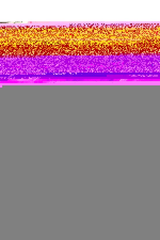 Erkek Renkli Slip Külot 129 - 12 Adet