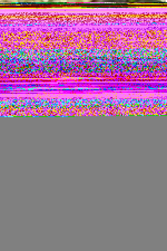 6lı %100 Pamuklu Erkek Beyaz Askılı Atlet Özel Fiyat