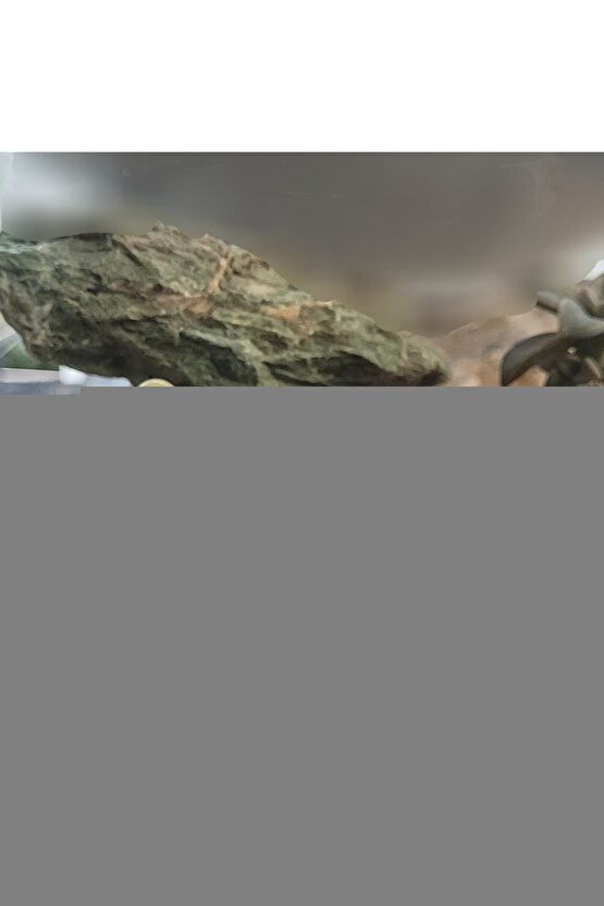 Diz Altı Çorabı (AÇIK BURUN) Orta Basınçlı Siyah Ref 912