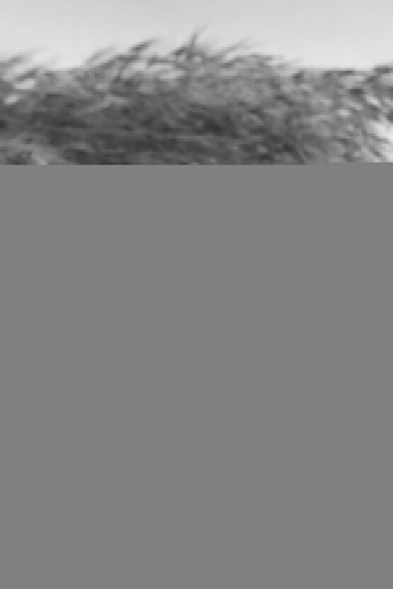 Hediyelik Kelebek Kese Siyah Ve Beyaz Istanbul Nakış Işlemeli Kese 2 Adet