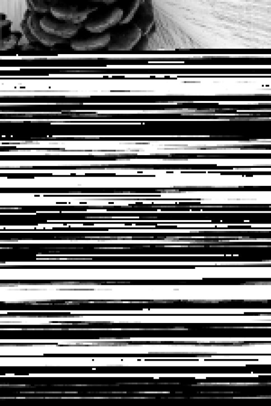 Medi Travel Women-Dizaltı Burnu Kapalı Çorabı Pudra