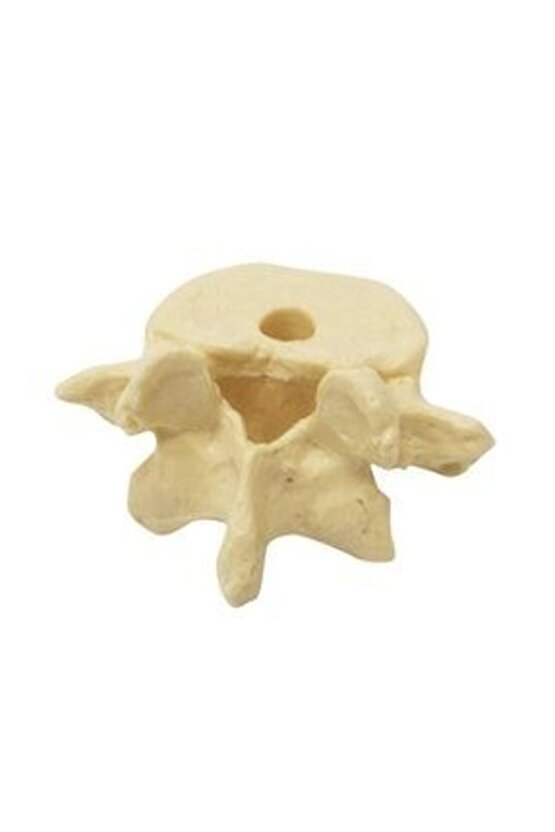 Omur Şeklinde KalemlikModel 1