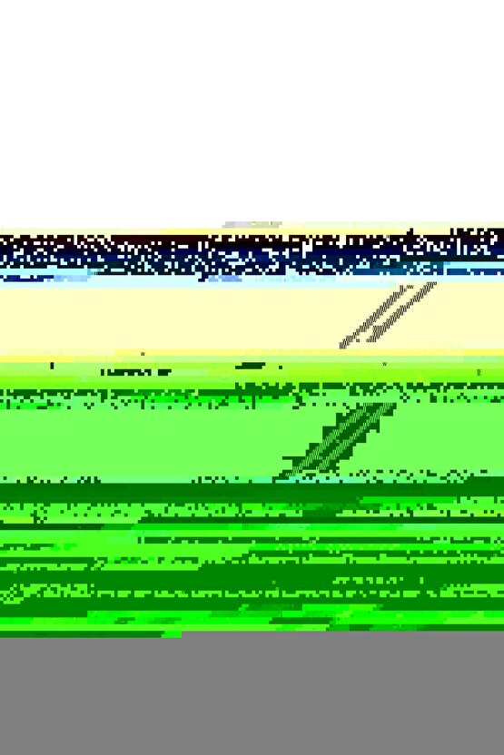 Dambıl & Ağırlık Barı 6Kg