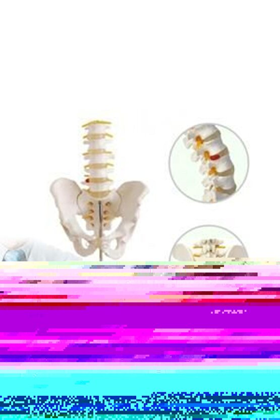 Esmer Sedef Doğal Taş Bileklik 8 Mm Küre Kesim