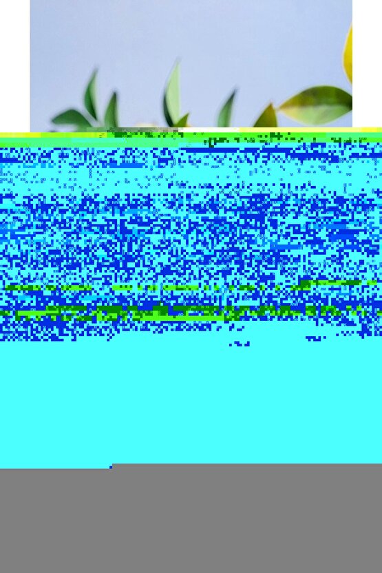 ŞARJLI MASAJ ALETİNRD - 175