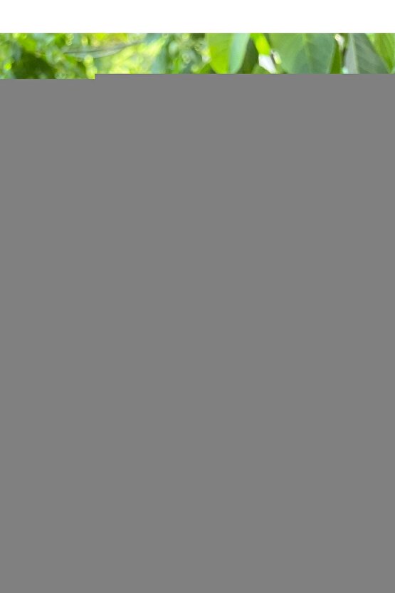 Temassız Ateş Ölçer Vücut ve Nesne Ölçe