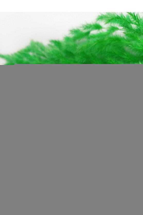 Fizik Tedavi Tek Lambalı Enfraruj İnfraruj Cihazı